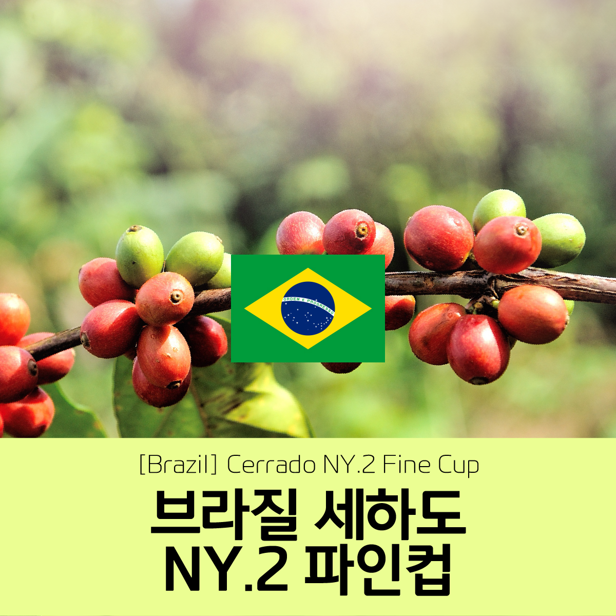 [브라질] NY2 FC 세하도