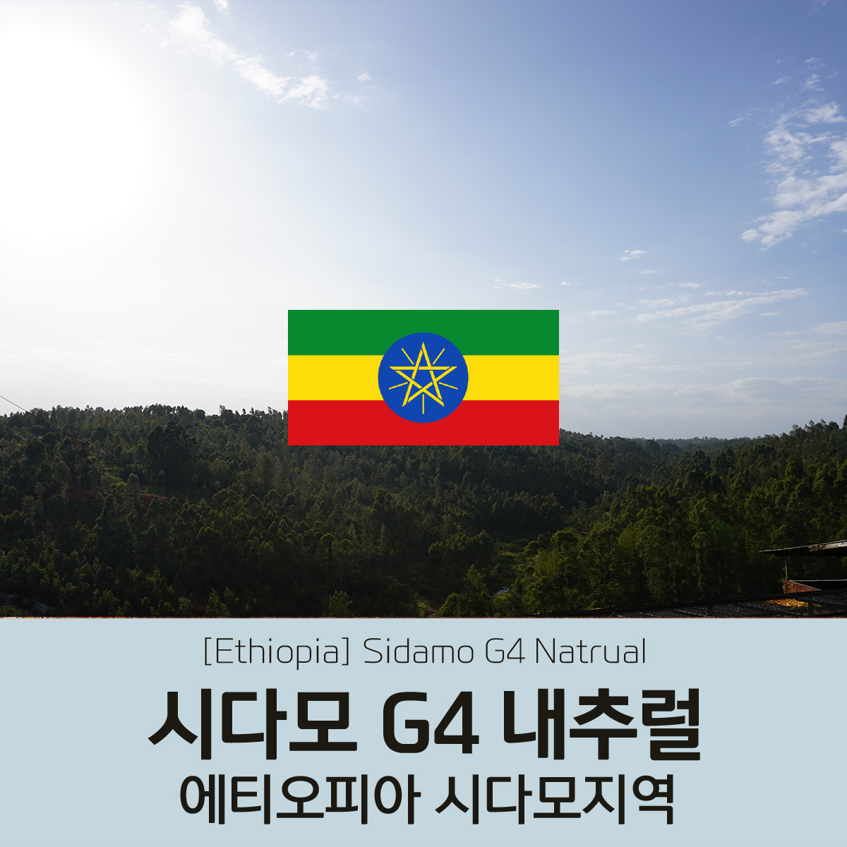 [에티오피아] 시다모 G4 내추럴
