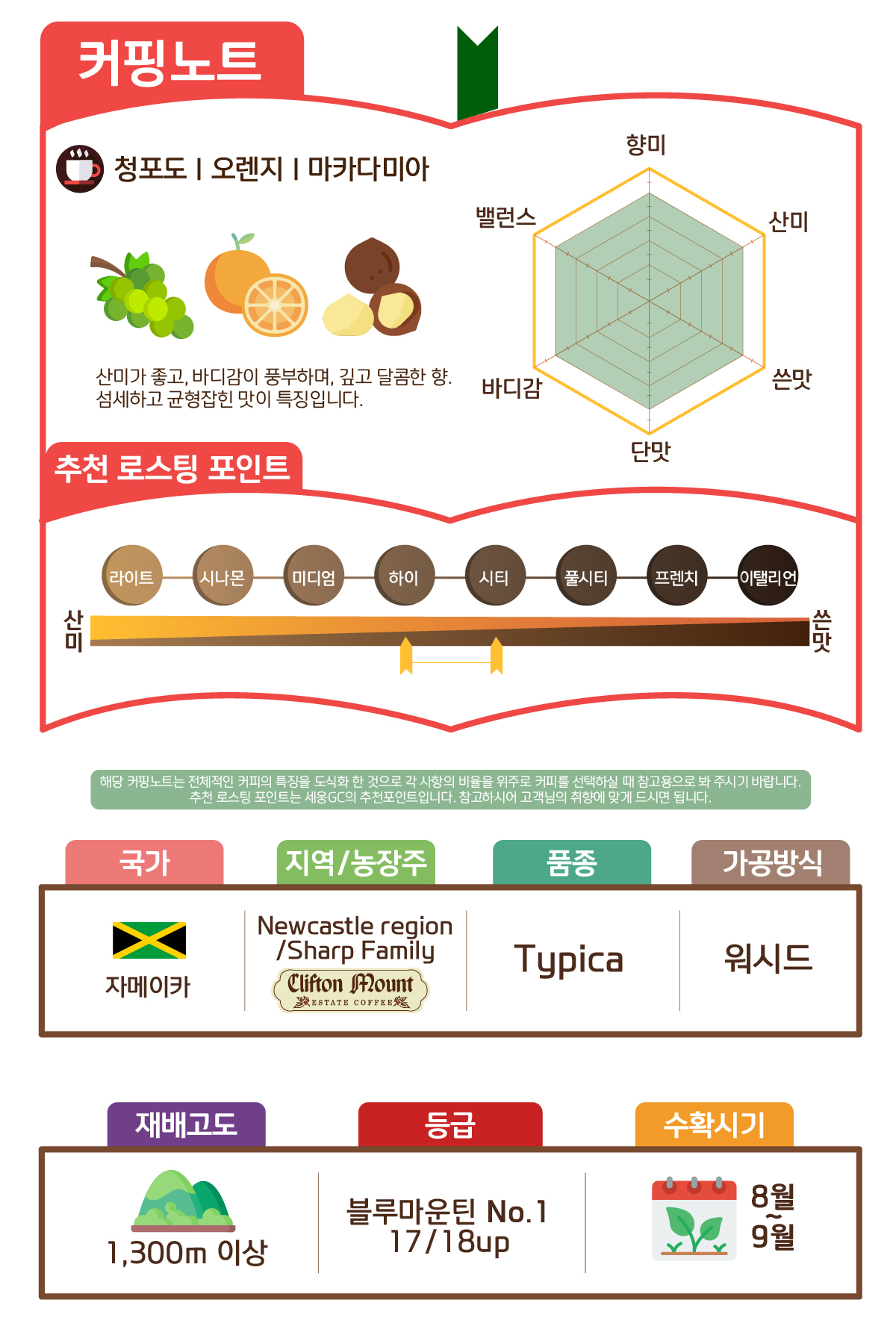 [자메이카] 블루마운틴 No.1 17/18 워시드