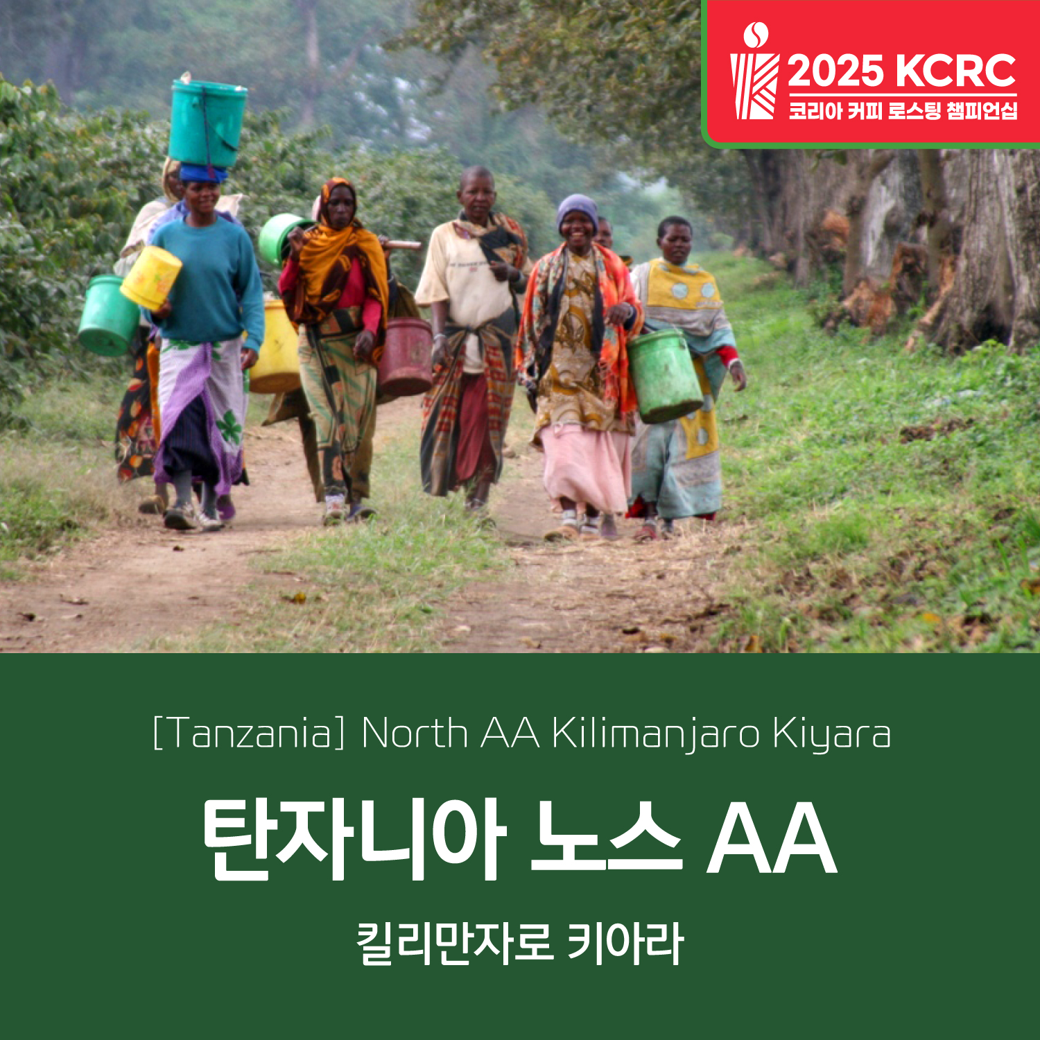 [탄자니아] 노스 AA 키아라