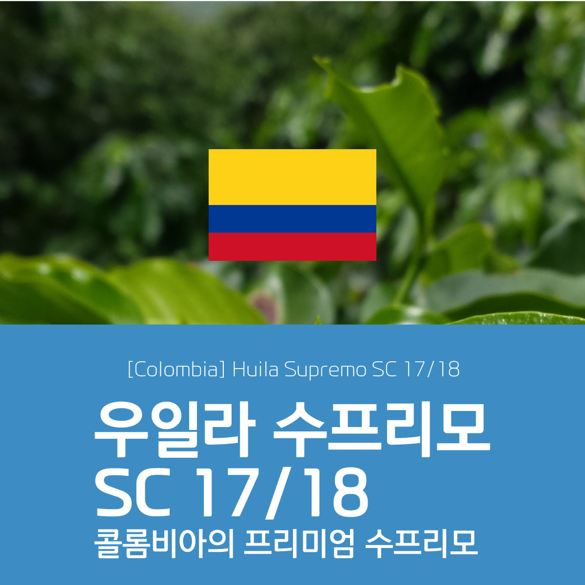 [콜롬비아] 수프리모 우일라 17/18