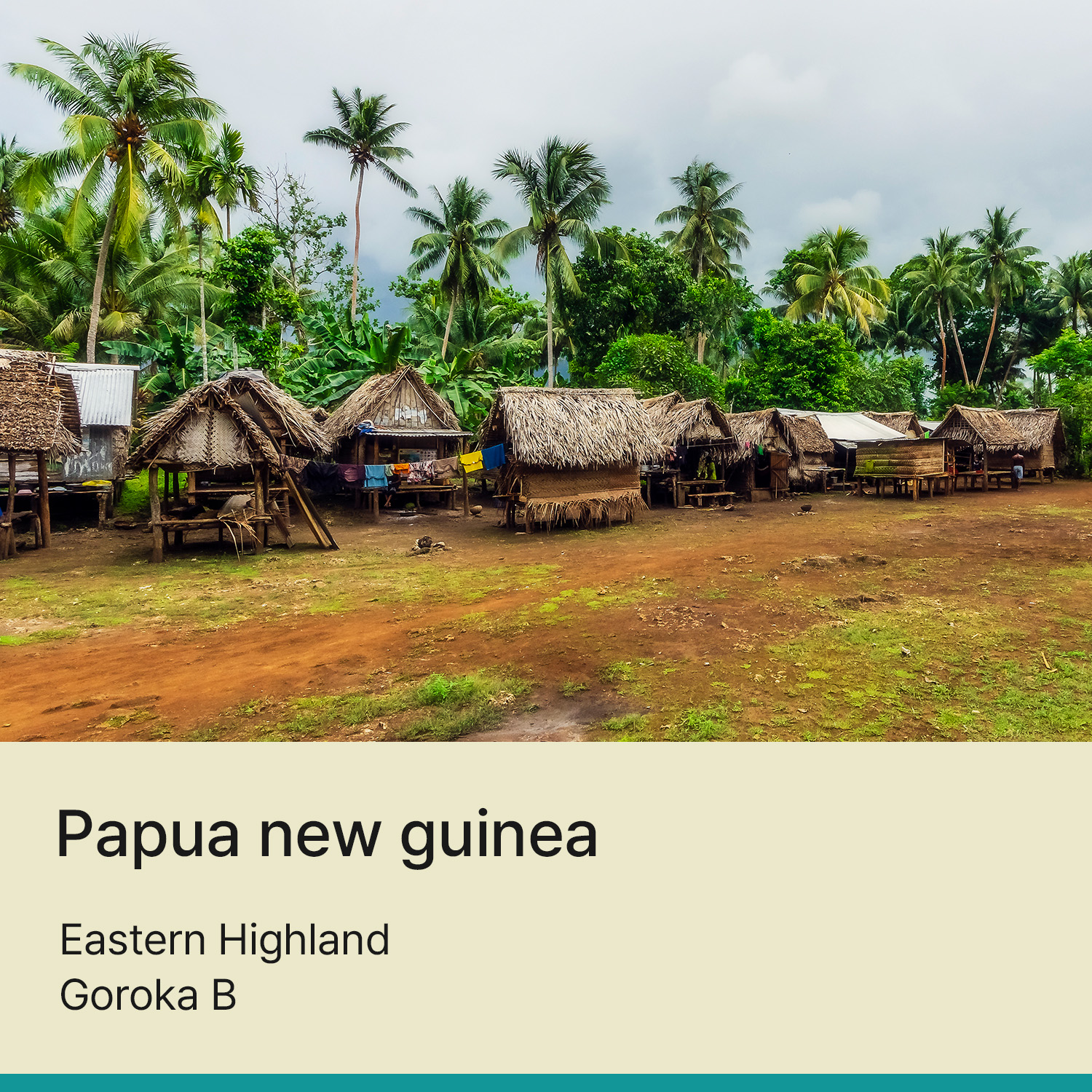 파푸아뉴기니 이스턴하이랜드 고로카 B