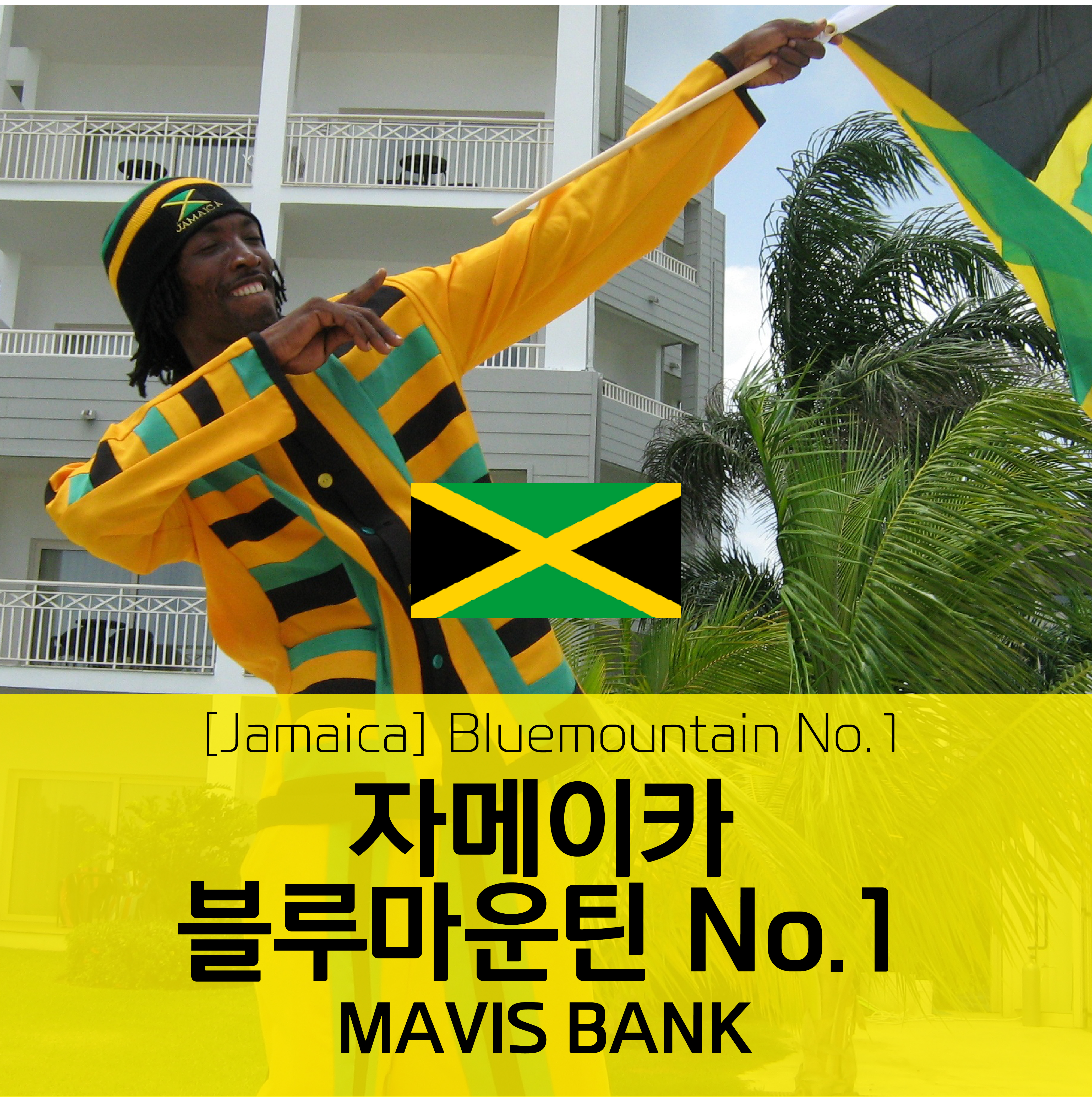 [자메이카] 블루마운틴 No.1