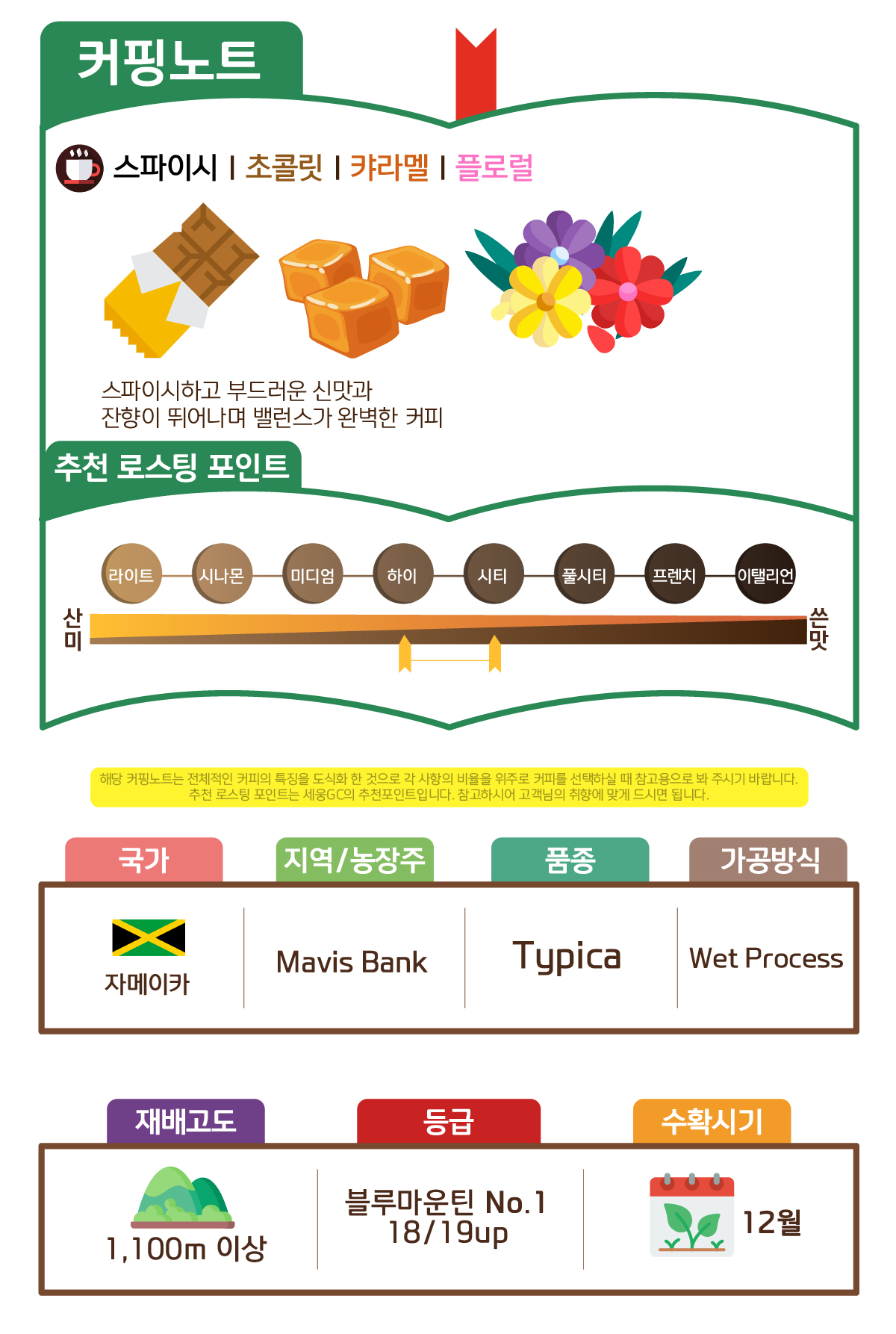 [자메이카] 블루마운틴 No.1