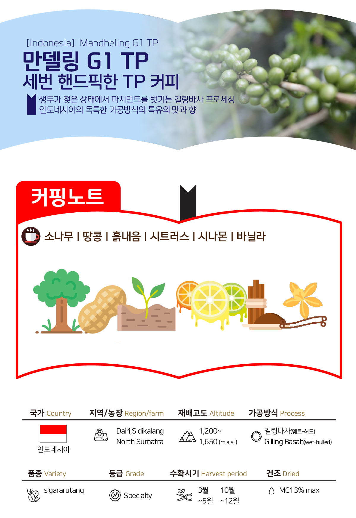 [인도네시아] 만델링 G1 TP