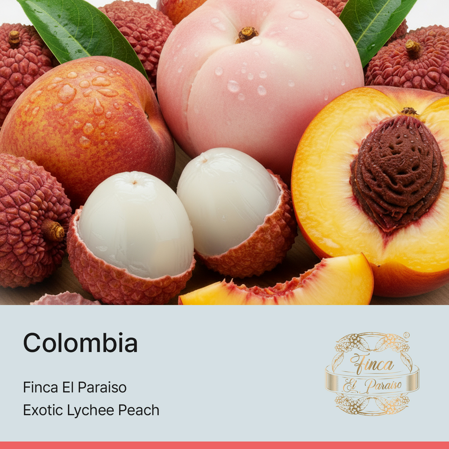 [콜롬비아] EXOTIC 리치피치 - 핀카 엘 파라이소