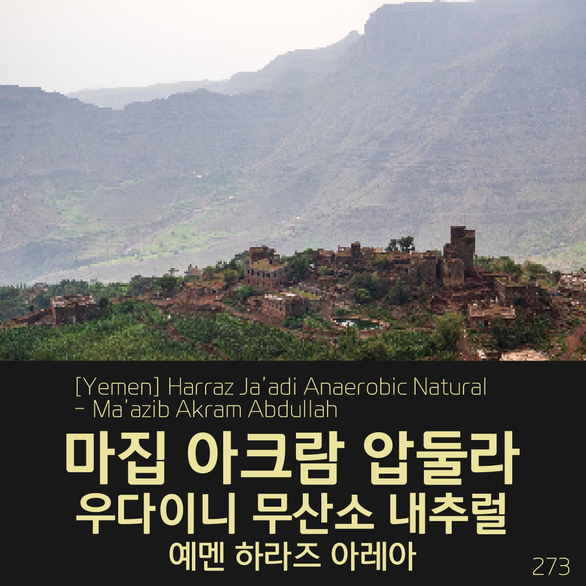 [가격인하][Yemen] 마집 아크람 압둘라 우다이니 무산소 내추럴