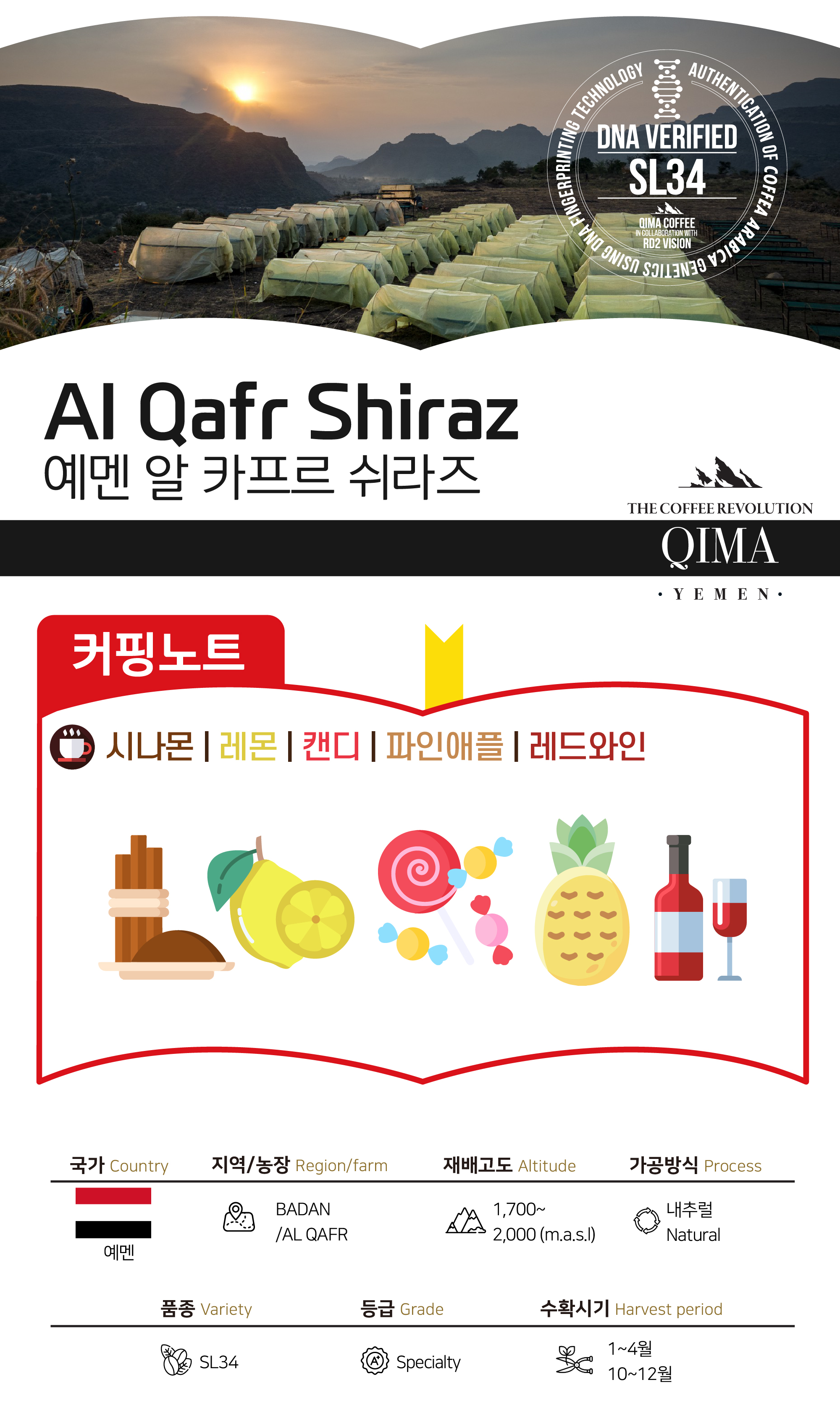 [가격인하][Yemen] 마집 아크람 압둘라 우다이니 무산소 내추럴