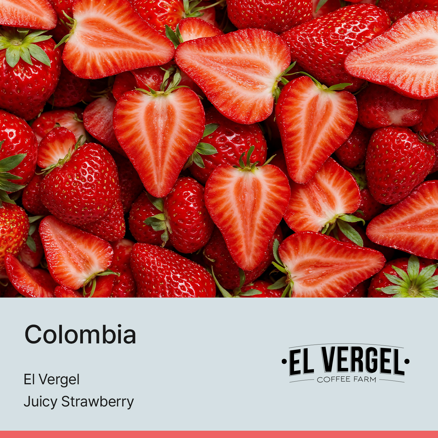 [콜롬비아] 쥬시 스트로베리 168