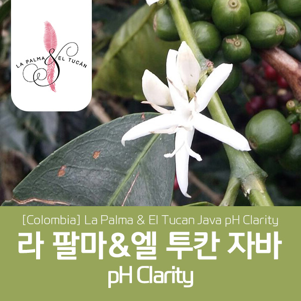 [가격인하] 콜롬비아 라 팔마 & 엘 투칸 자바 pH Clarity