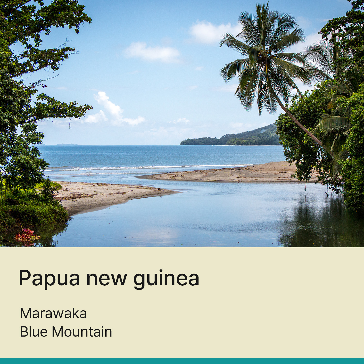 [파푸아뉴기니] 마라와카 블루마운틴