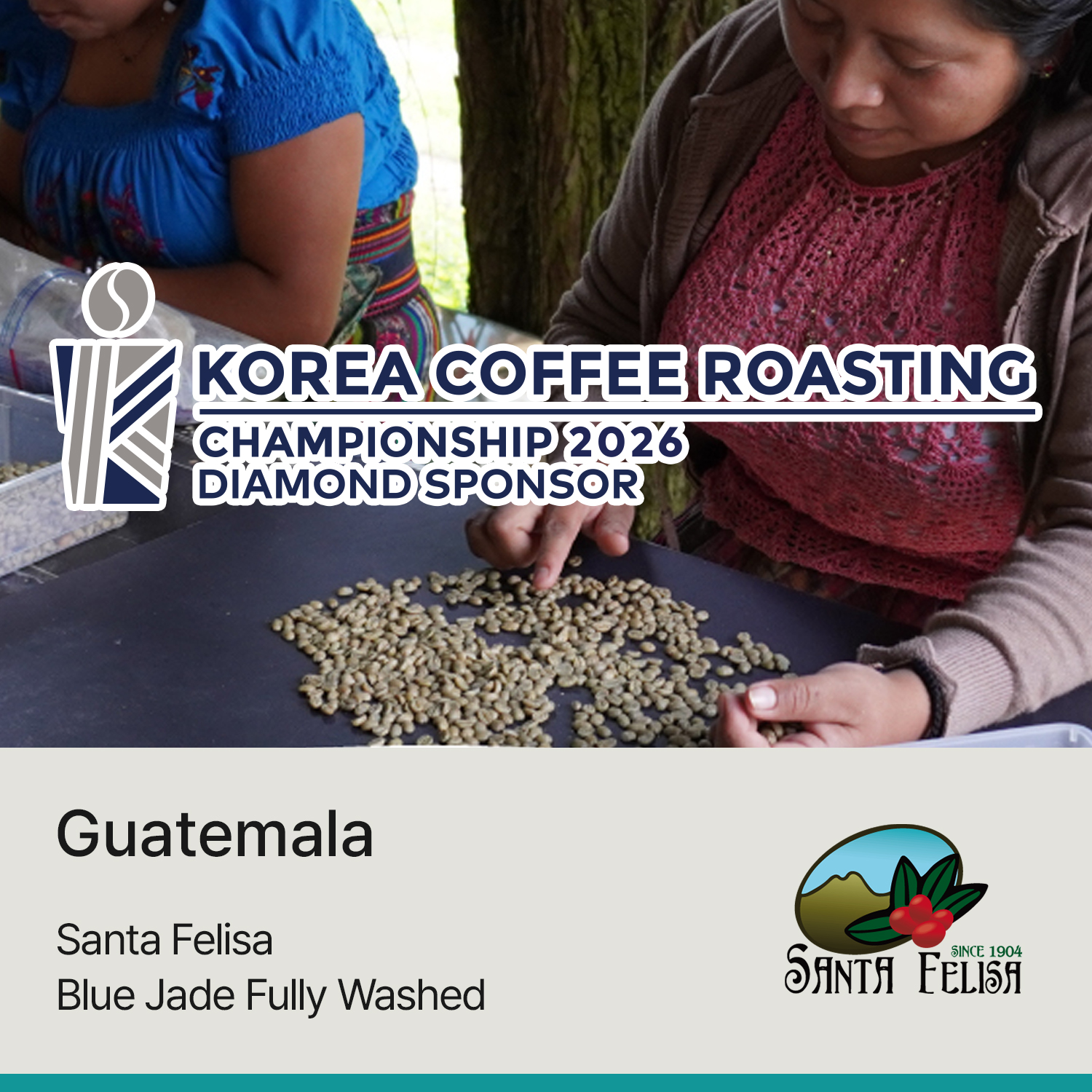 [과테말라] 산타펠리사 블루제이드 풀리 워시드