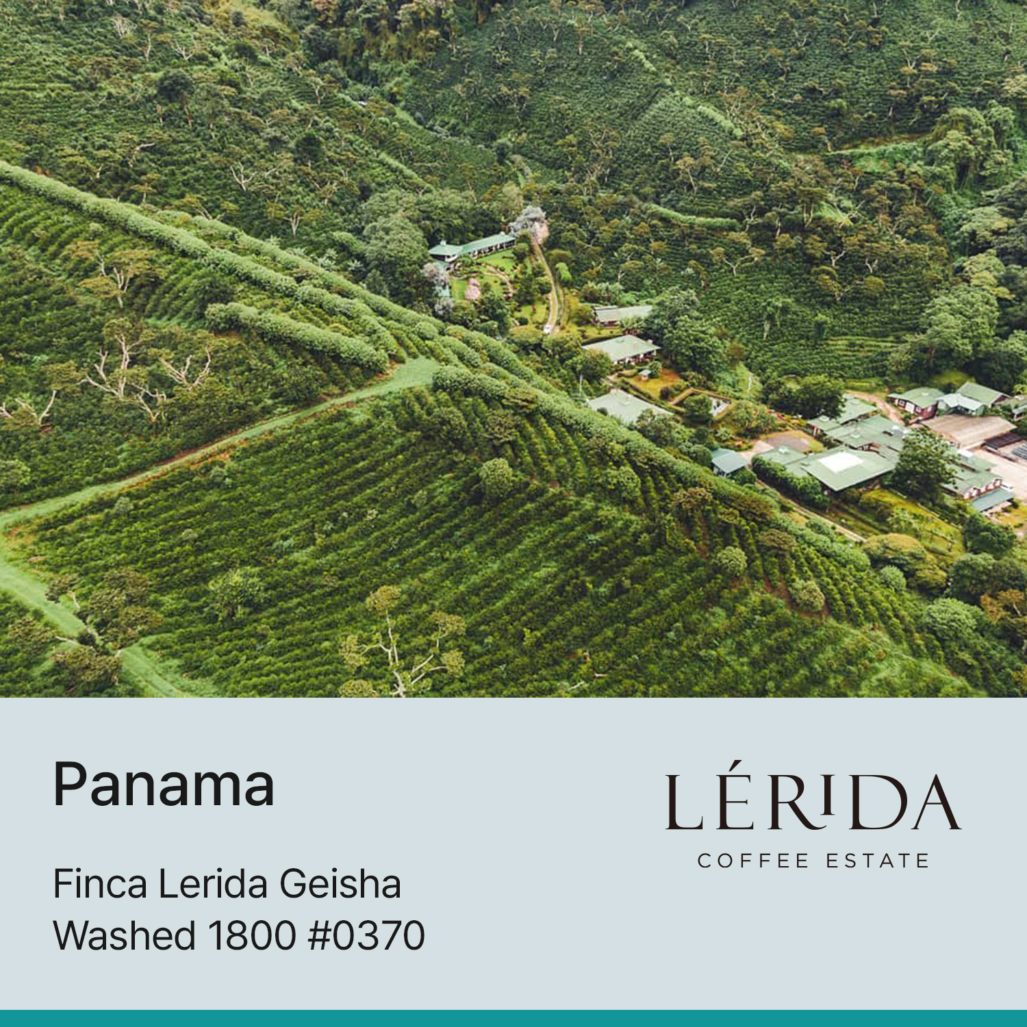 [파나마] 핀카 레리다 게이샤 워시드 1800 #0370