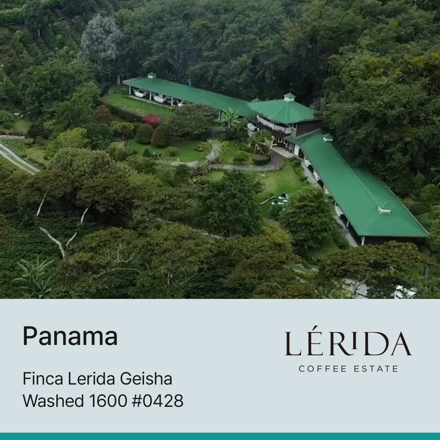 [파나마] 핀카 레리다 게이샤 워시드 1600 #0428