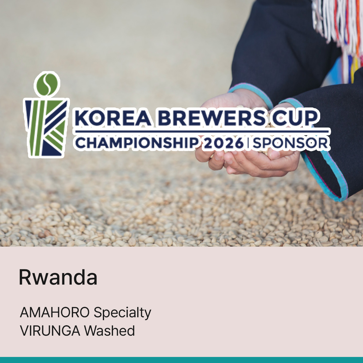 [르완다] 아마호로 스페셜티 비룽가 워시드