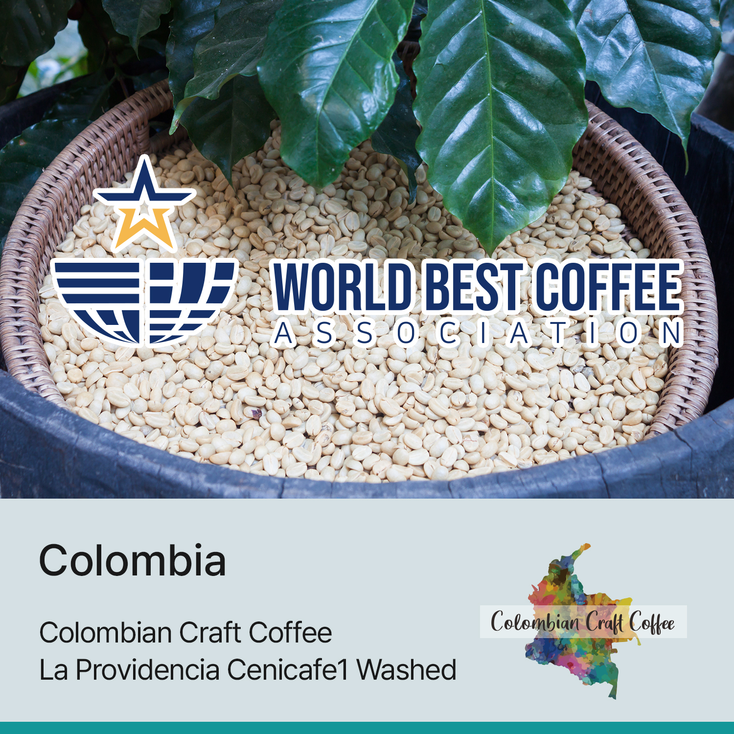 [콜롬비아] 라 프로비덴시아 세니카페원 워시드