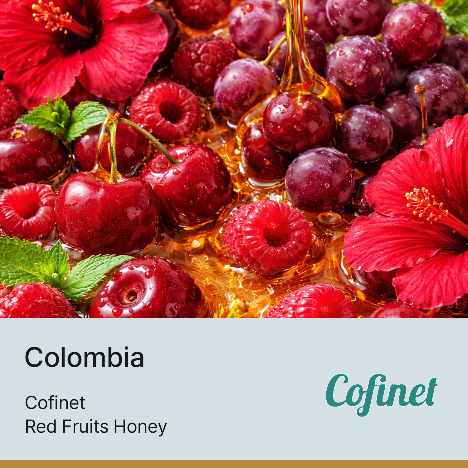 [콜롬비아] EXOTIC 코피넷 레드 프루츠 허니