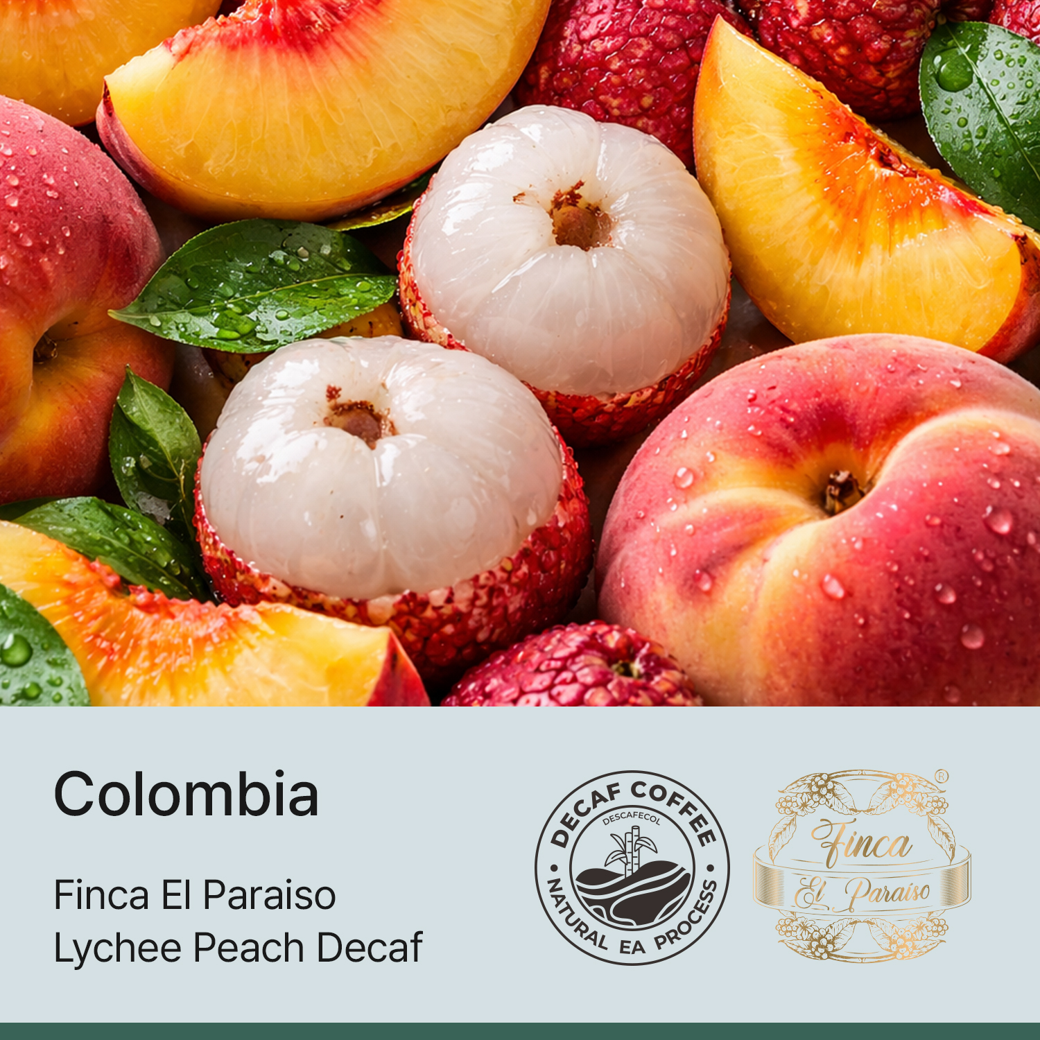 [콜롬비아] 리치피치 디카페인 - 핀카 엘 파라이소
