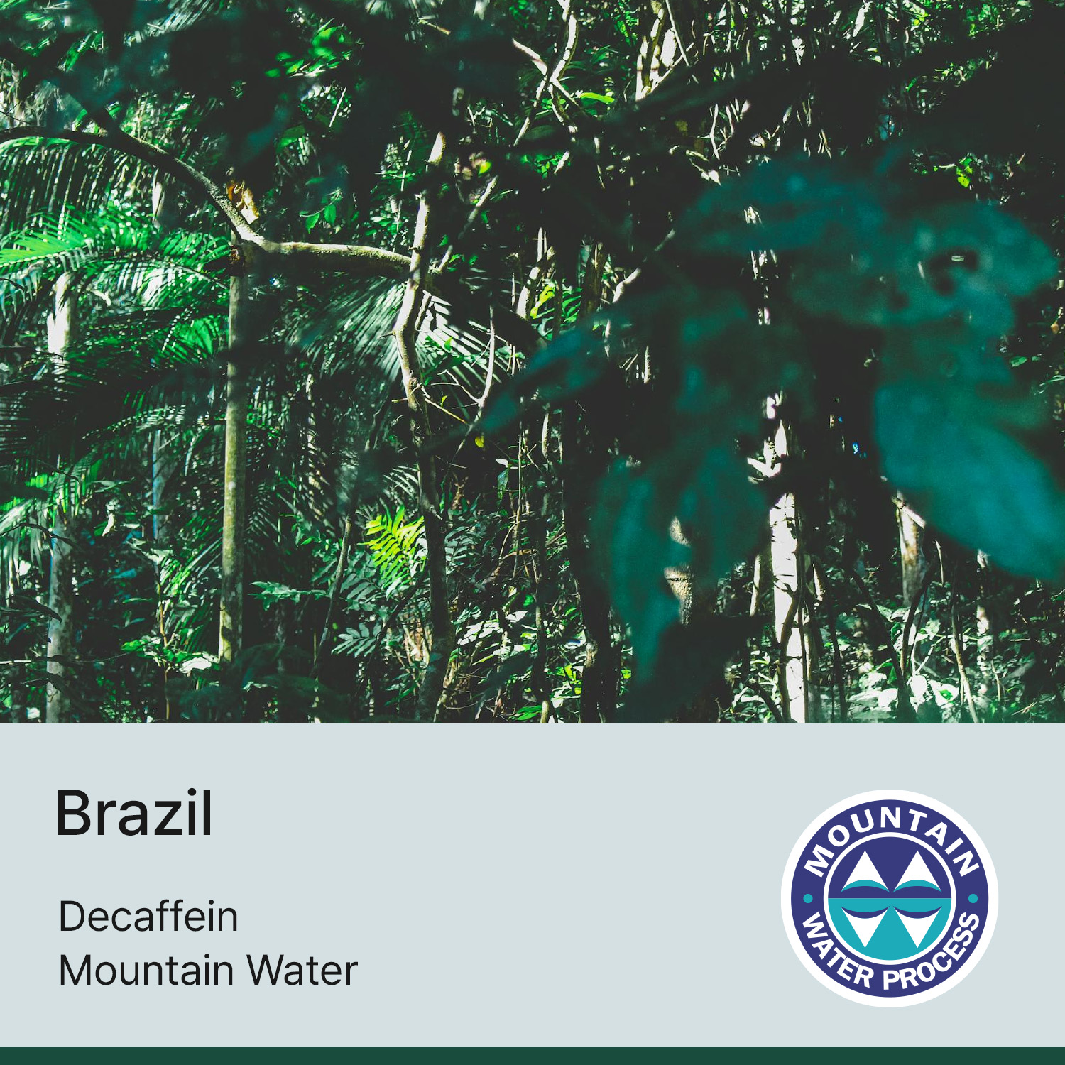 [브라질] 디카페인 마운틴워터