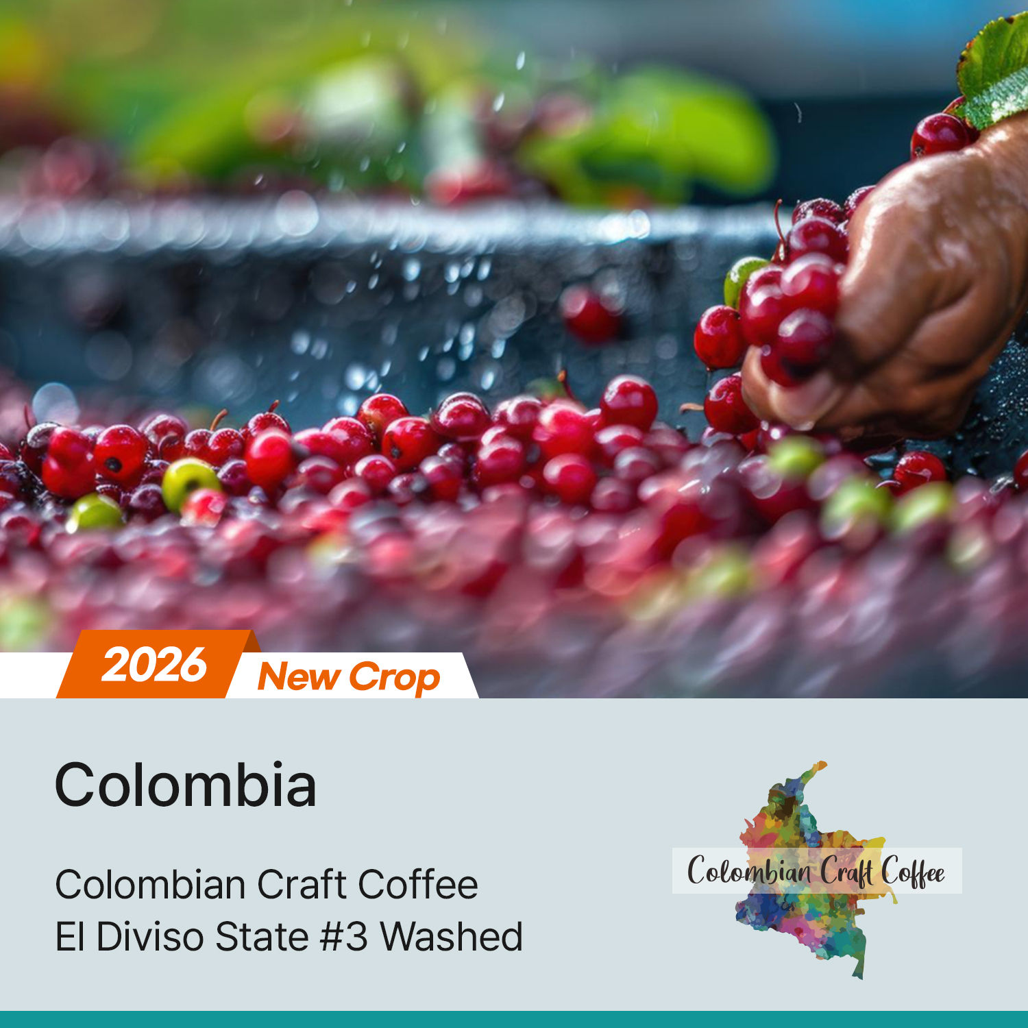 [콜롬비아] 엘 디비소 스테이트 #3 워시드