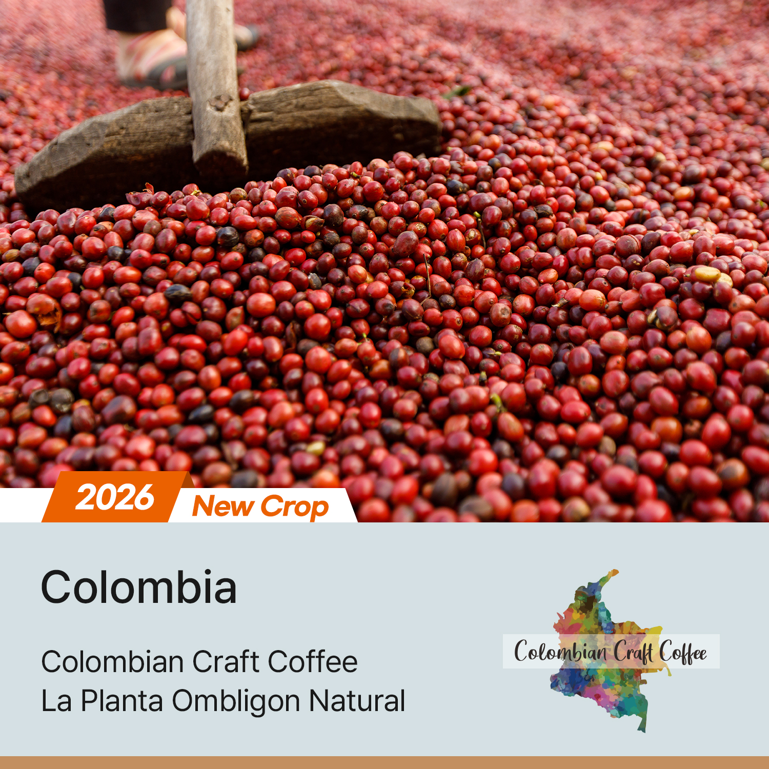 [콜롬비아] 라 플란타 옴블리곤 내추럴