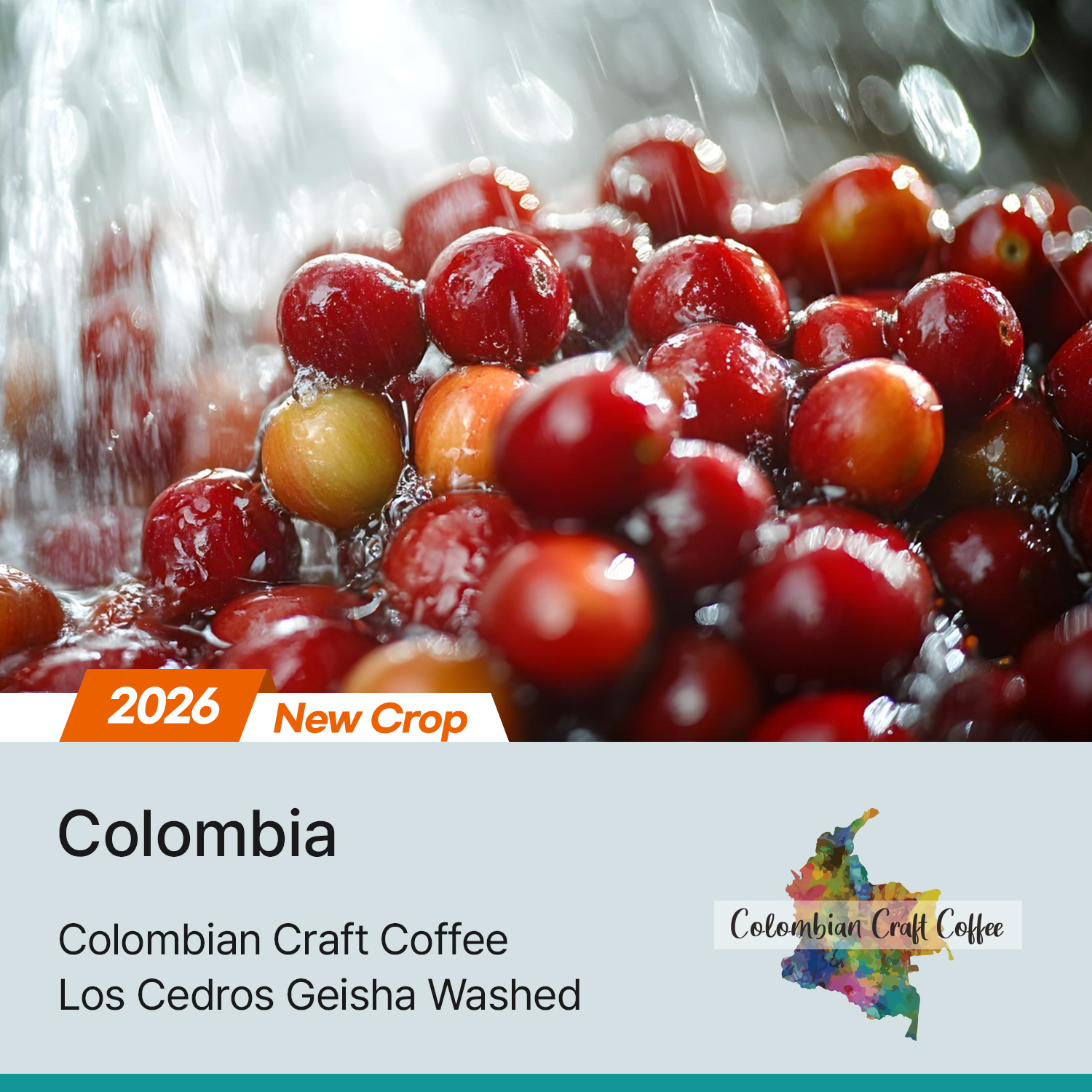 [콜롬비아] 로스 세드로스 게이샤 워시드