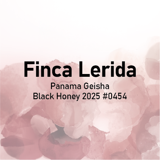 Finca Lerida Panama Geisha Black Honey 2025 #0454