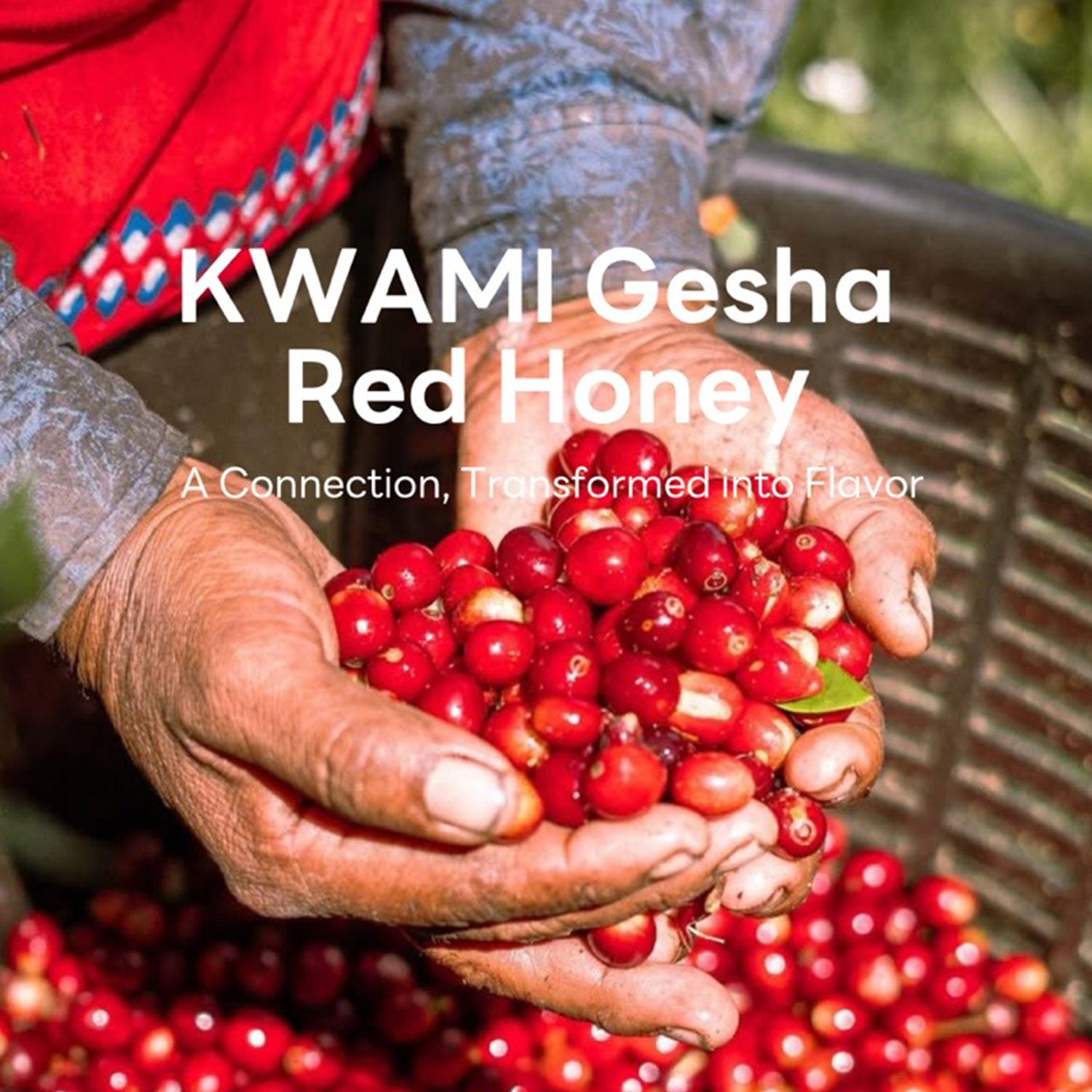 KWAMI Ethiopia 2025 AFCA TOH 2nd