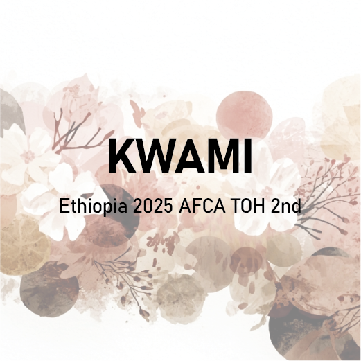 KWAMI Ethiopia 2025 AFCA TOH 2nd