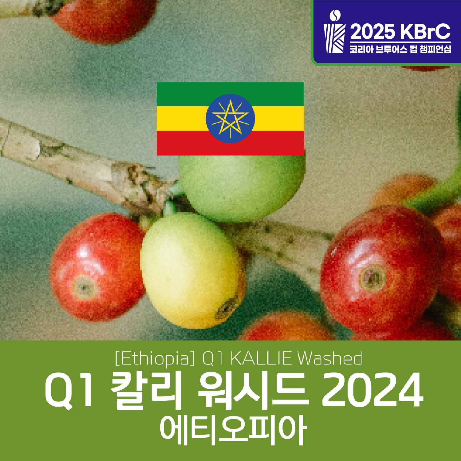 [에티오피아] Q1 칼리 워시드 2024