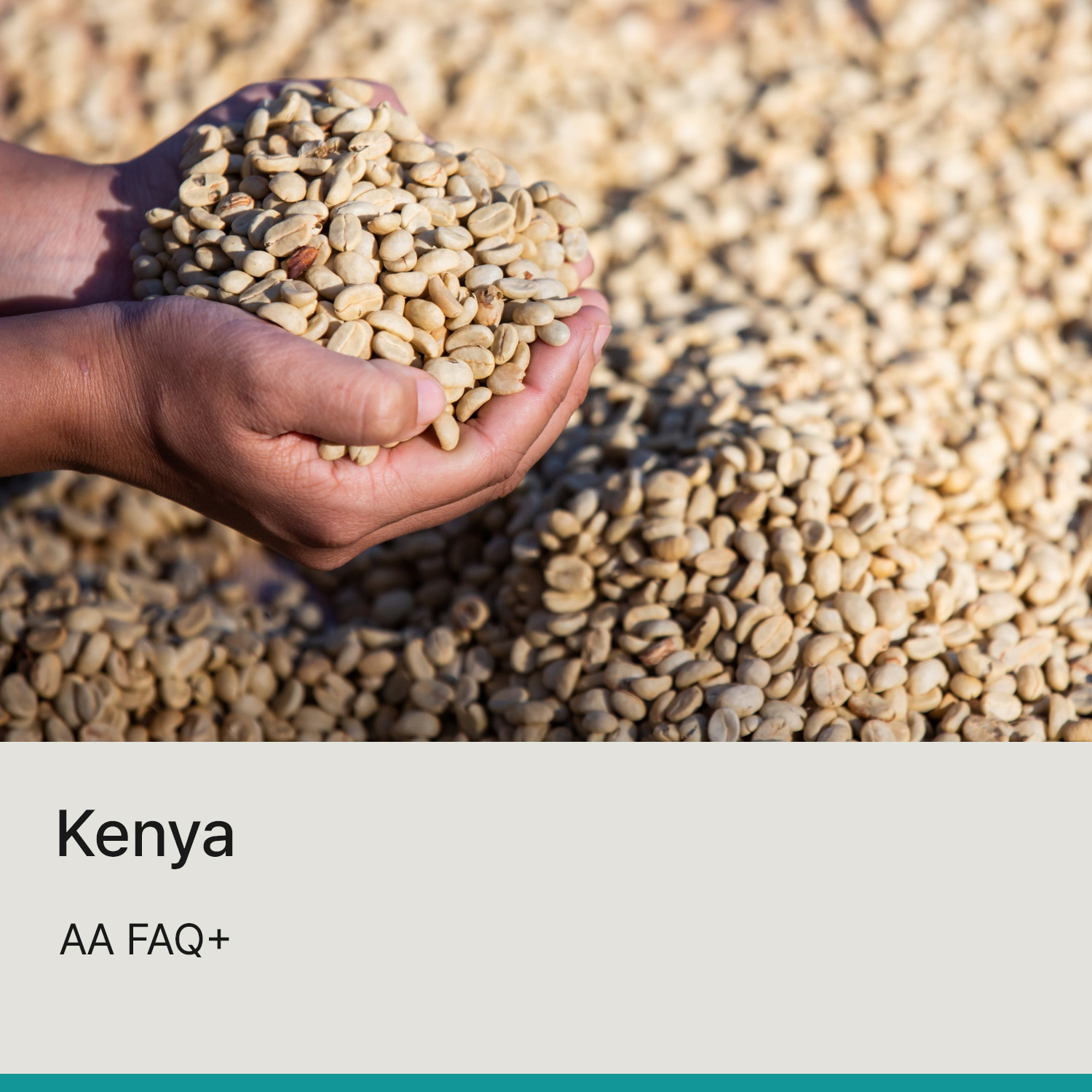 [2025][케냐] AA FAQ+