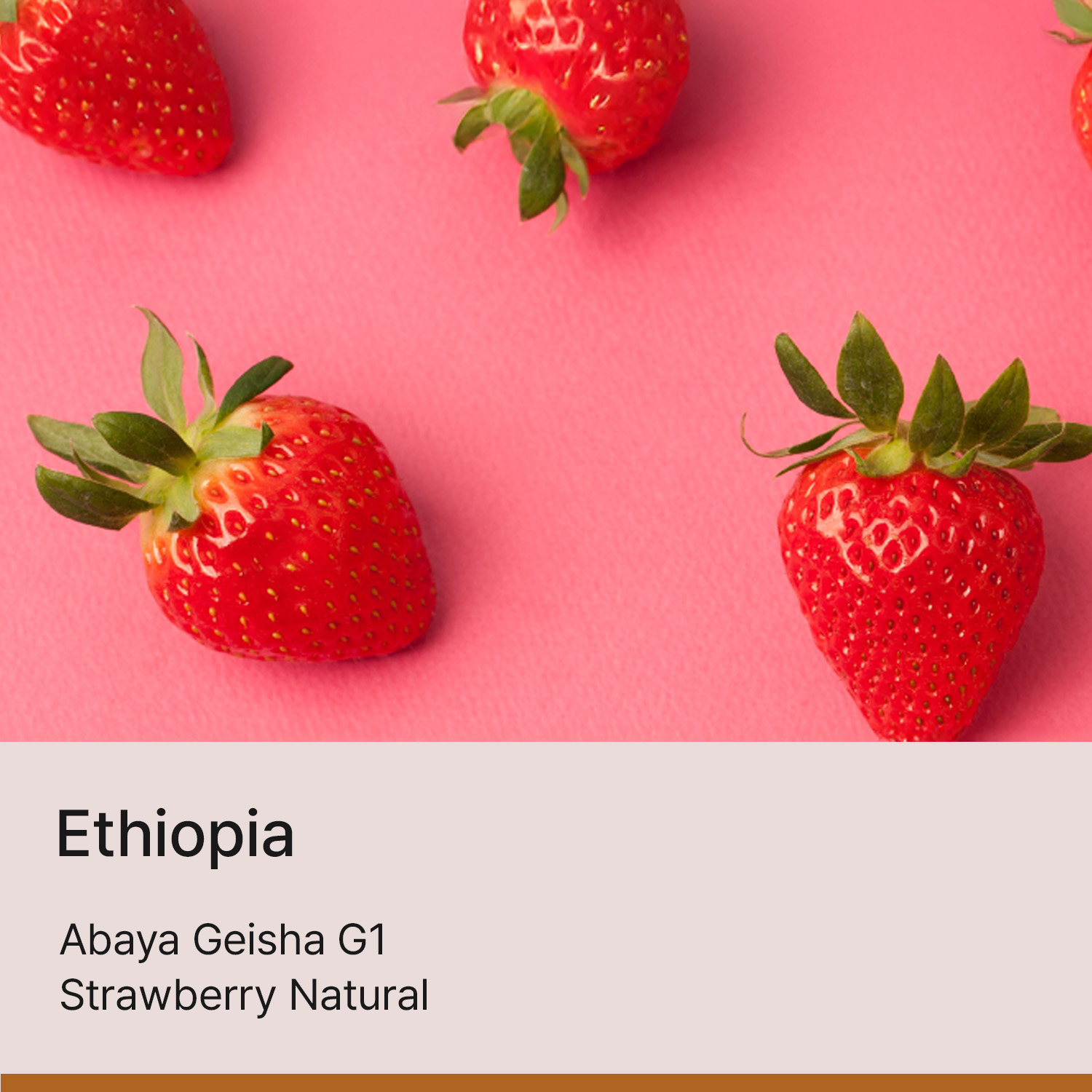 [에티오피아]아바야 게이샤 G1 스트로베리 내추럴