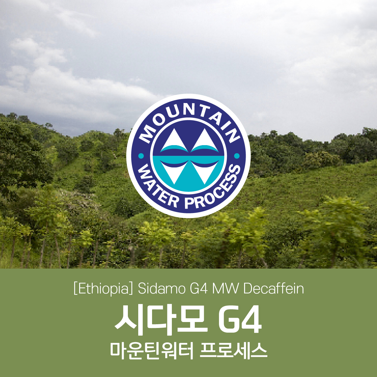 [디카페인] 에티오피아 시다모 G4