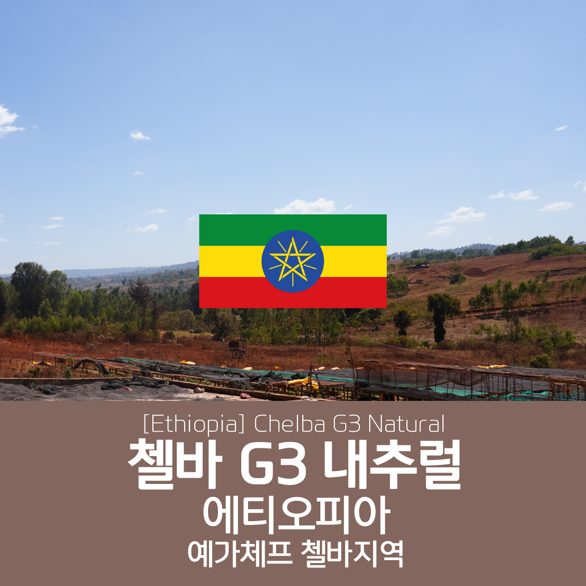 [에티오피아] 첼바 G3 내추럴