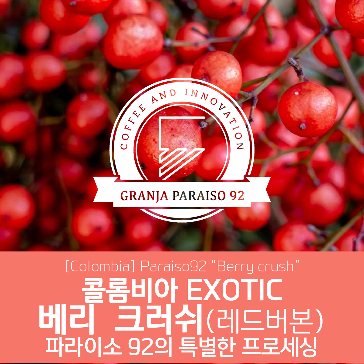 [콜롬비아] EXOTIC 파라이소 92 베리 크러쉬