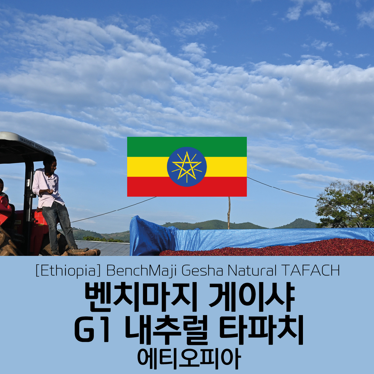 [에티오피아] 벤치마지 게이샤 G1 내추럴 타파치