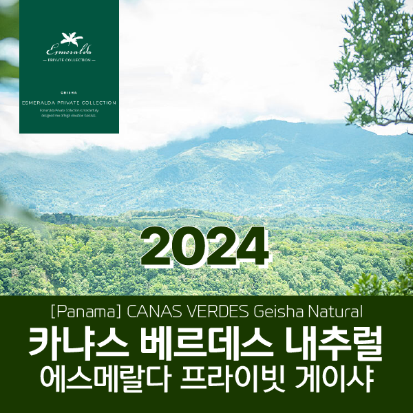 [파나마] 2024 게이샤 프라이빗 컬렉션 카냐스 베르데스 내추럴