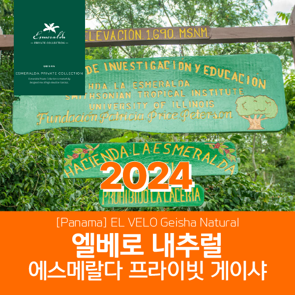 [파나마] 2024 게이샤 프라이빗 컬렉션 엘베로 게이샤 내추럴