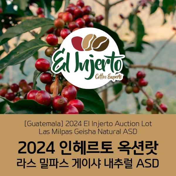 [과테말라] 2024 인헤르토 옥션랏 라스 밀파스 게이샤 내추럴 ASD