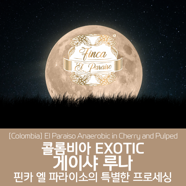 [콜롬비아] EXOTIC 게이샤 루나 - 핀카 엘 파라이소