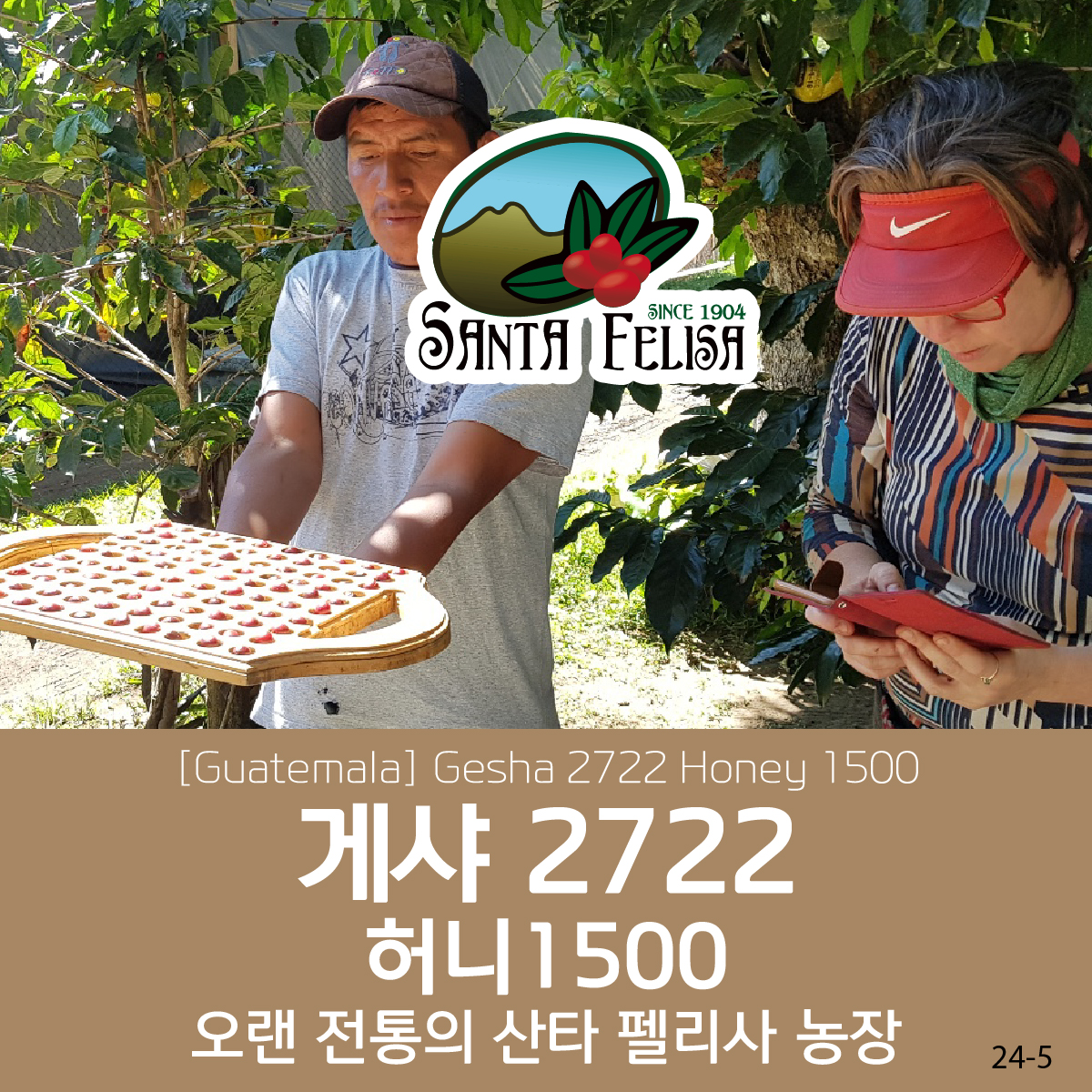 [블랙프라이데이][과테말라][산타펠리사] 게이샤 2722 허니 1500