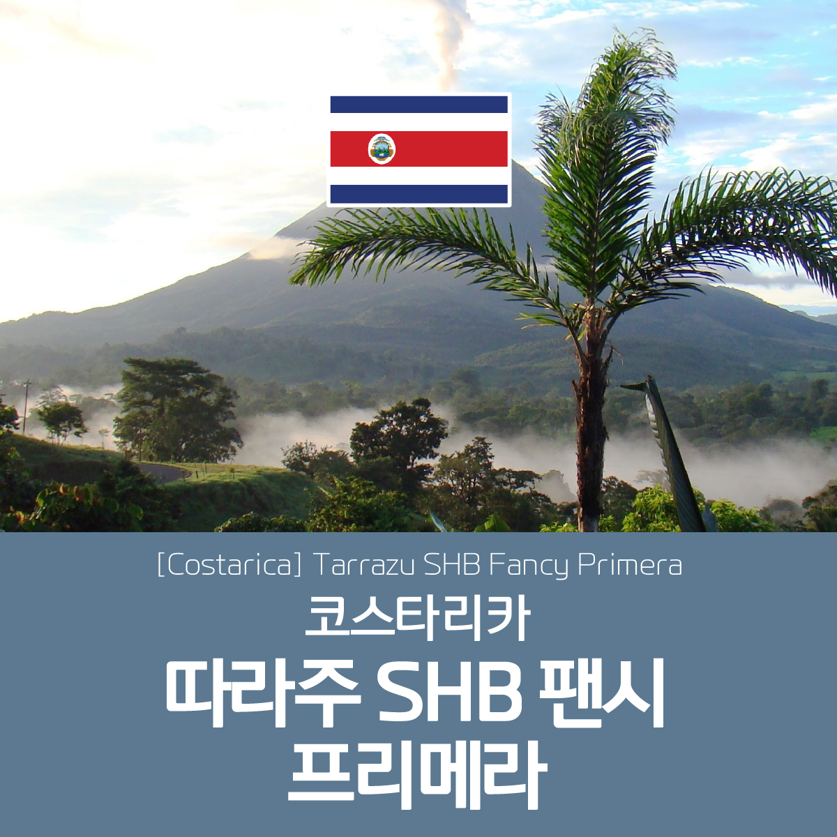 [블랙프라이데이][코스타리카] SHB 따라주 팬시 프리메라