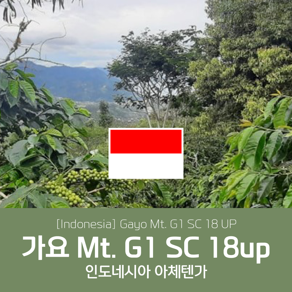 [블랙프라이데이][인도네시아]G1 가요마운틴 18up