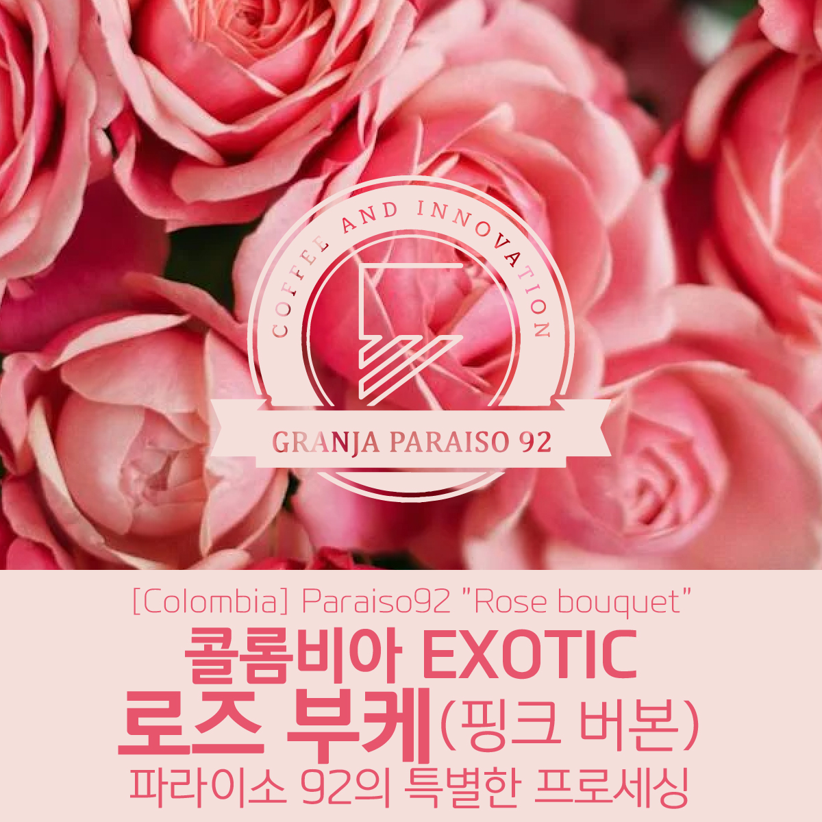 [블랙프라이데이][콜롬비아] EXOTIC 파라이소 92 로즈 부케