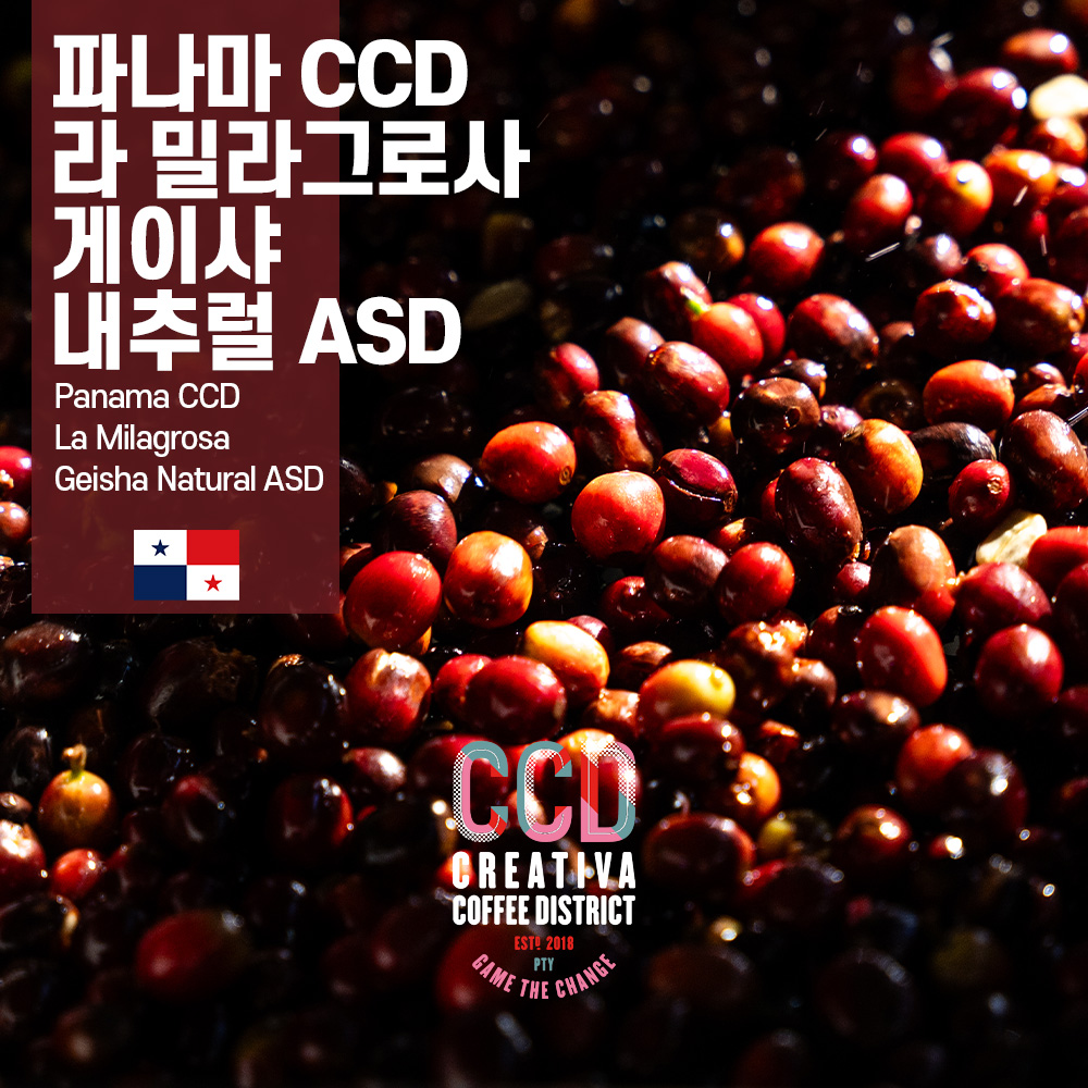 [게이샤의 봄][파나마] CCD 라 밀라그로사 게이샤 내추럴 ASD