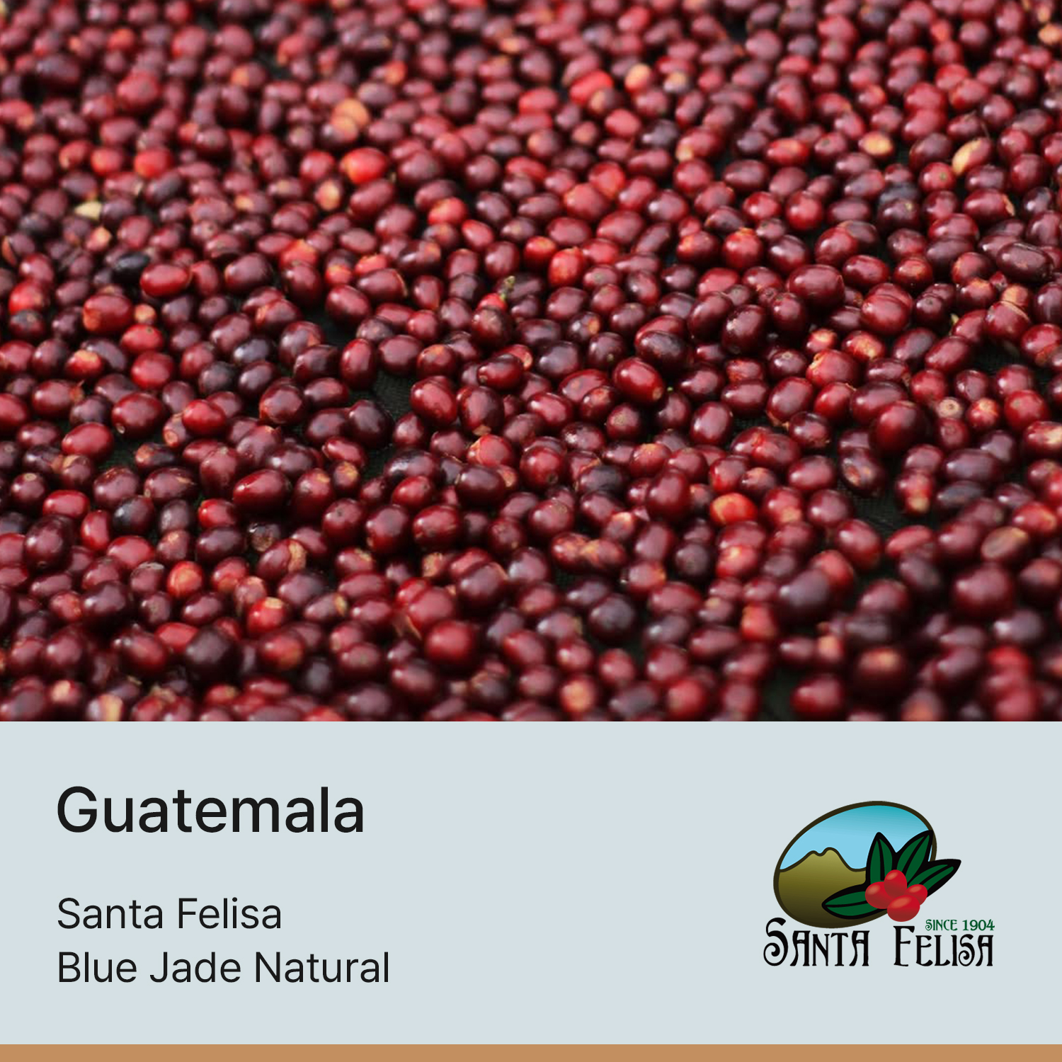 [과테말라] 산타펠리사 블루제이드 내추럴
